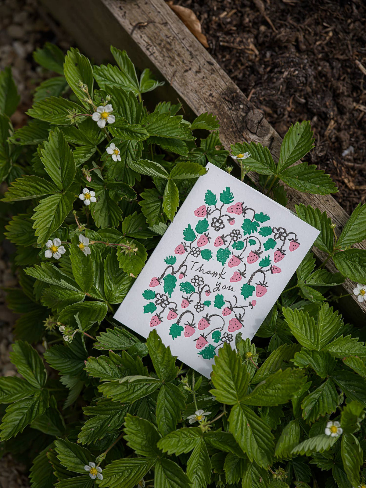 Strawberry Thank You | Greeting Card