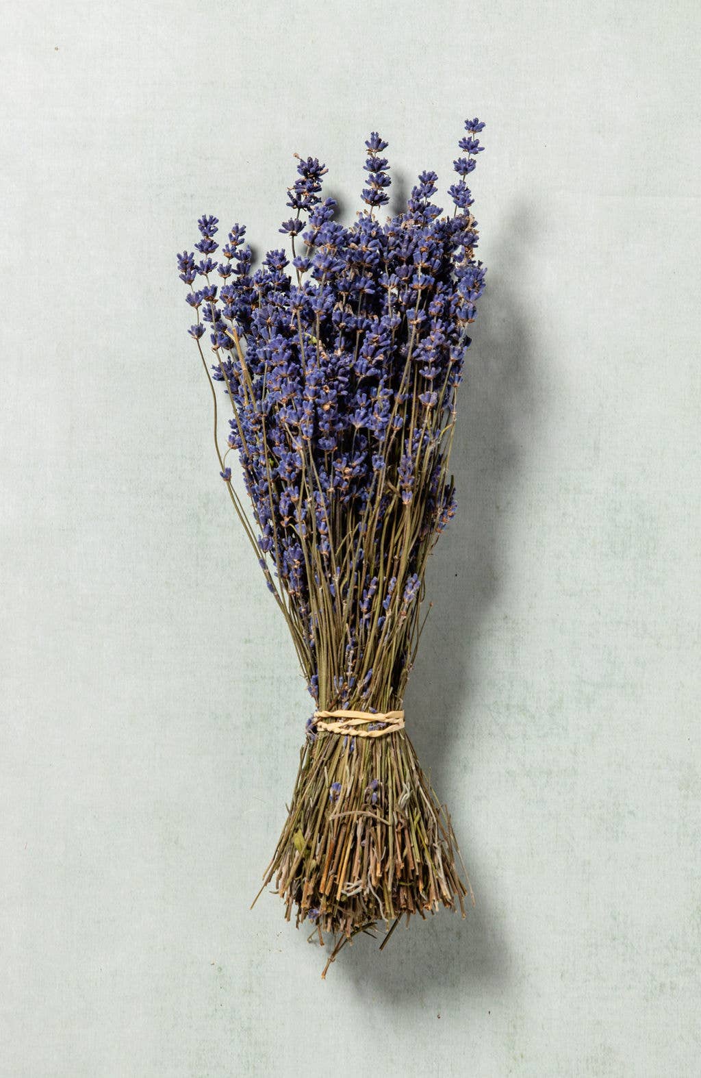 Dried Lavender Bunch - Dried Flowers