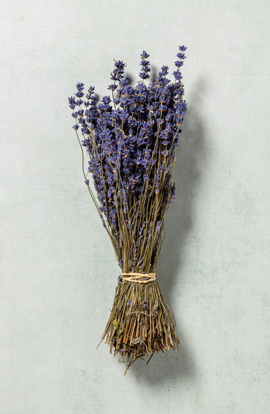 Dried Lavender Bunch - Dried Flowers