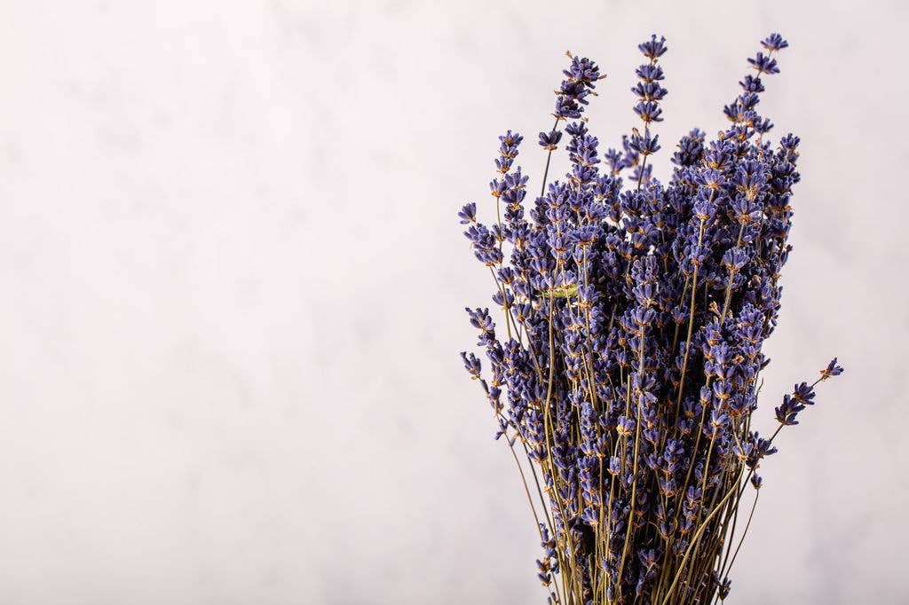 Dried Lavender Bunch - Dried Flowers