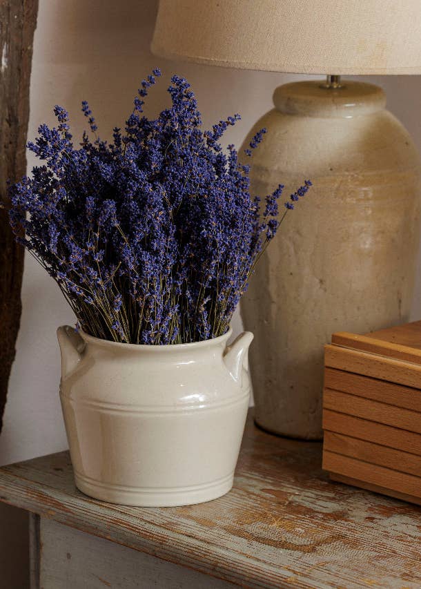 Dried Lavender Bunch - Dried Flowers