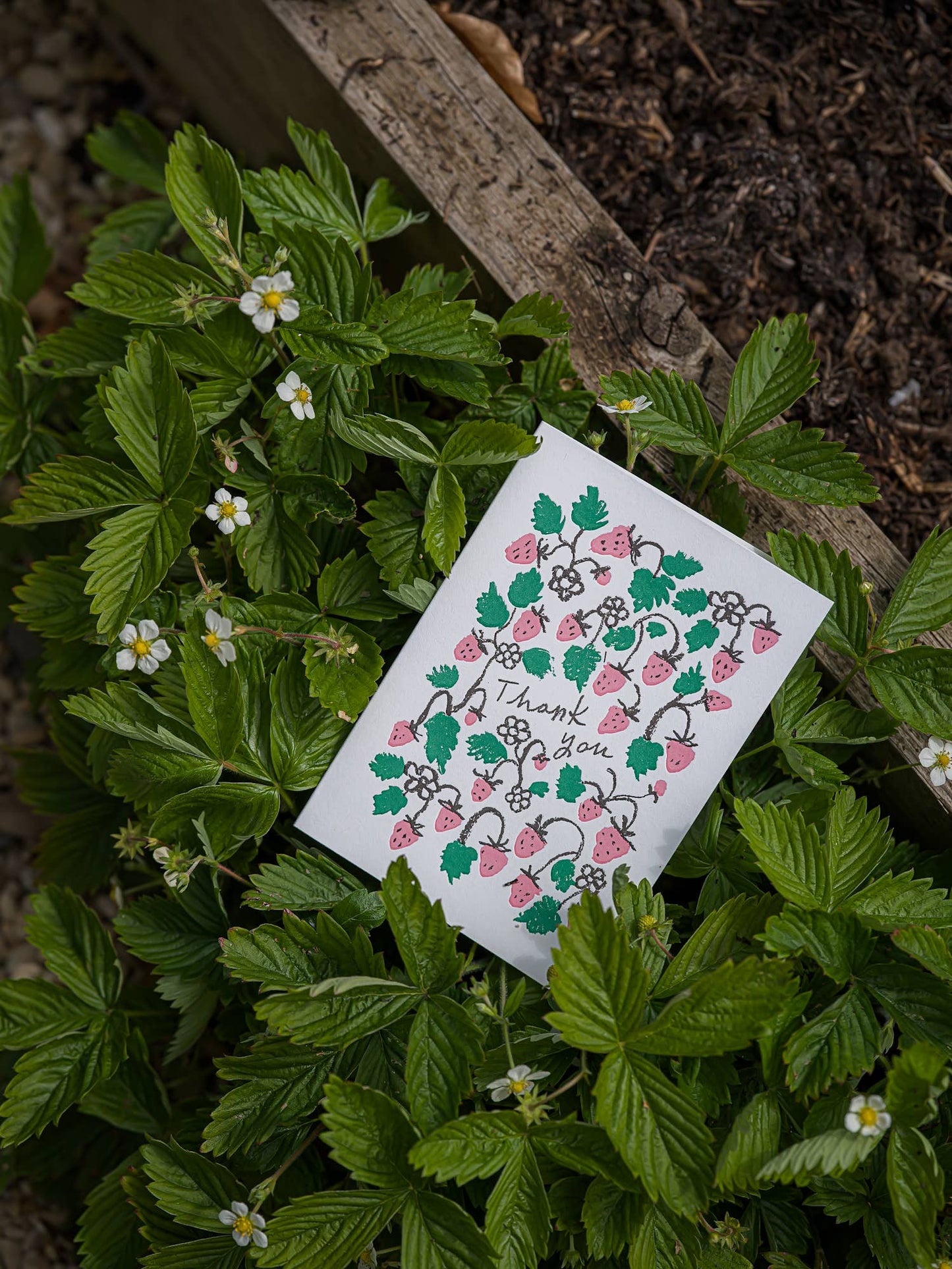 Strawberry Thank You | Greeting Card