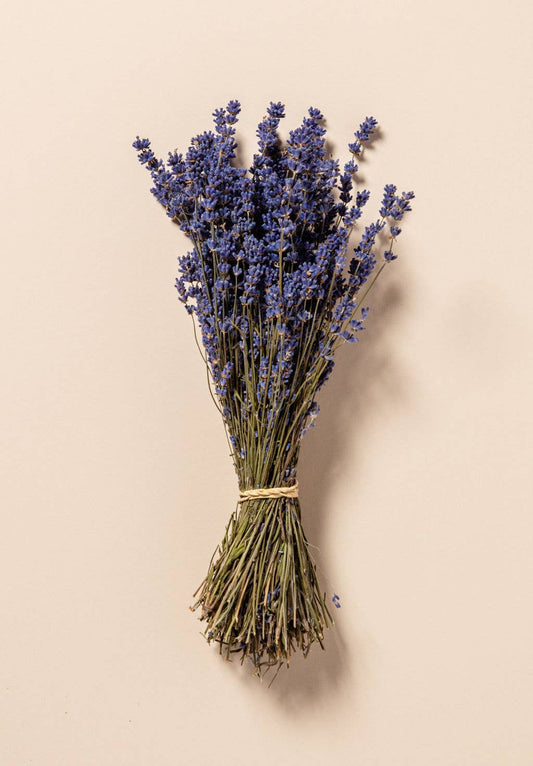 Dried Lavender Bunch - Dried Flowers