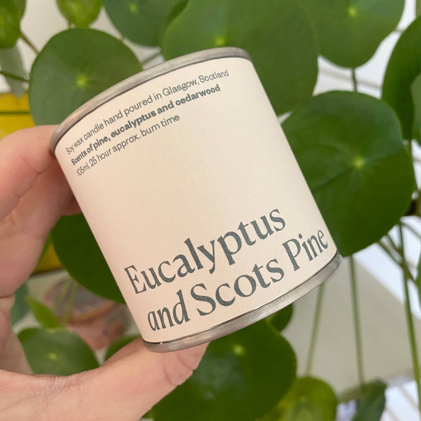 Eucalyptus and Scots Pine Soy Wax Candle Tin